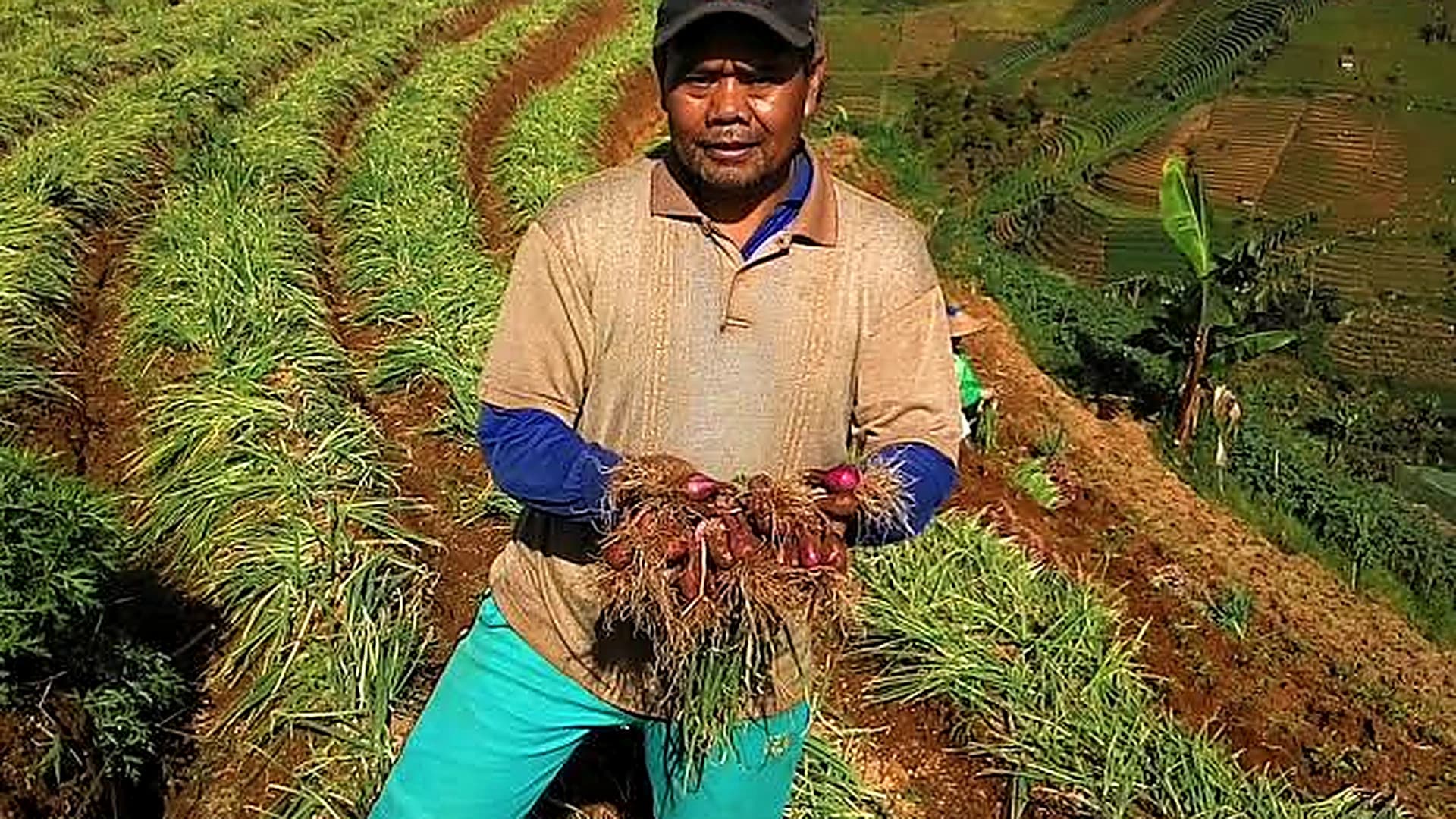 Global Trade Partner for
