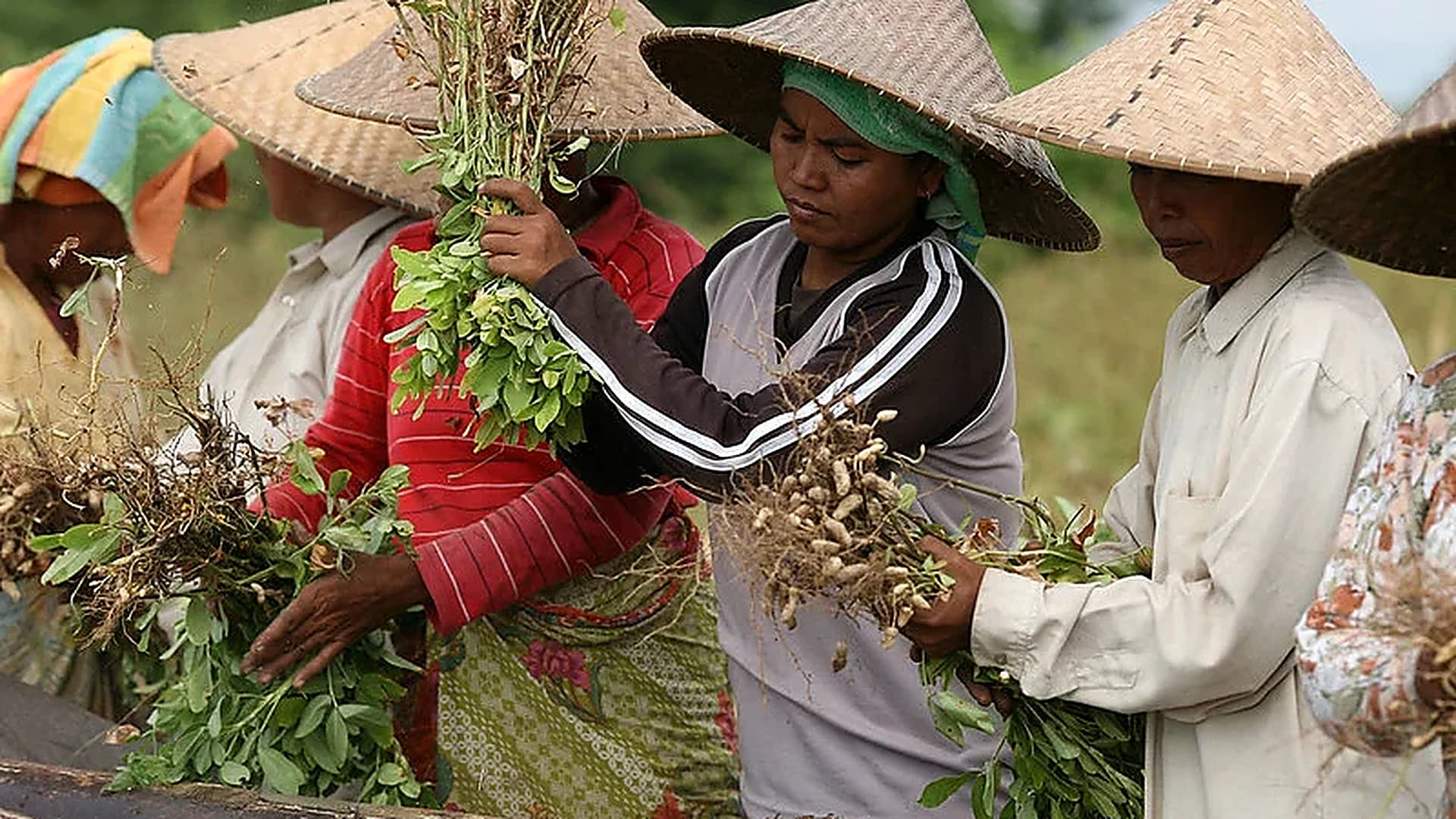 Sustainable Sourcing &